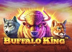 Buffalo King Casino Slot  FunClub Casino Online Canada