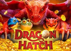 Dragon Hatch Casino Game  FunClub Casino Online Canada