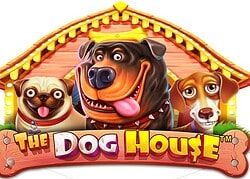 Dog House Casino Game  FunClub Casino Online Canada